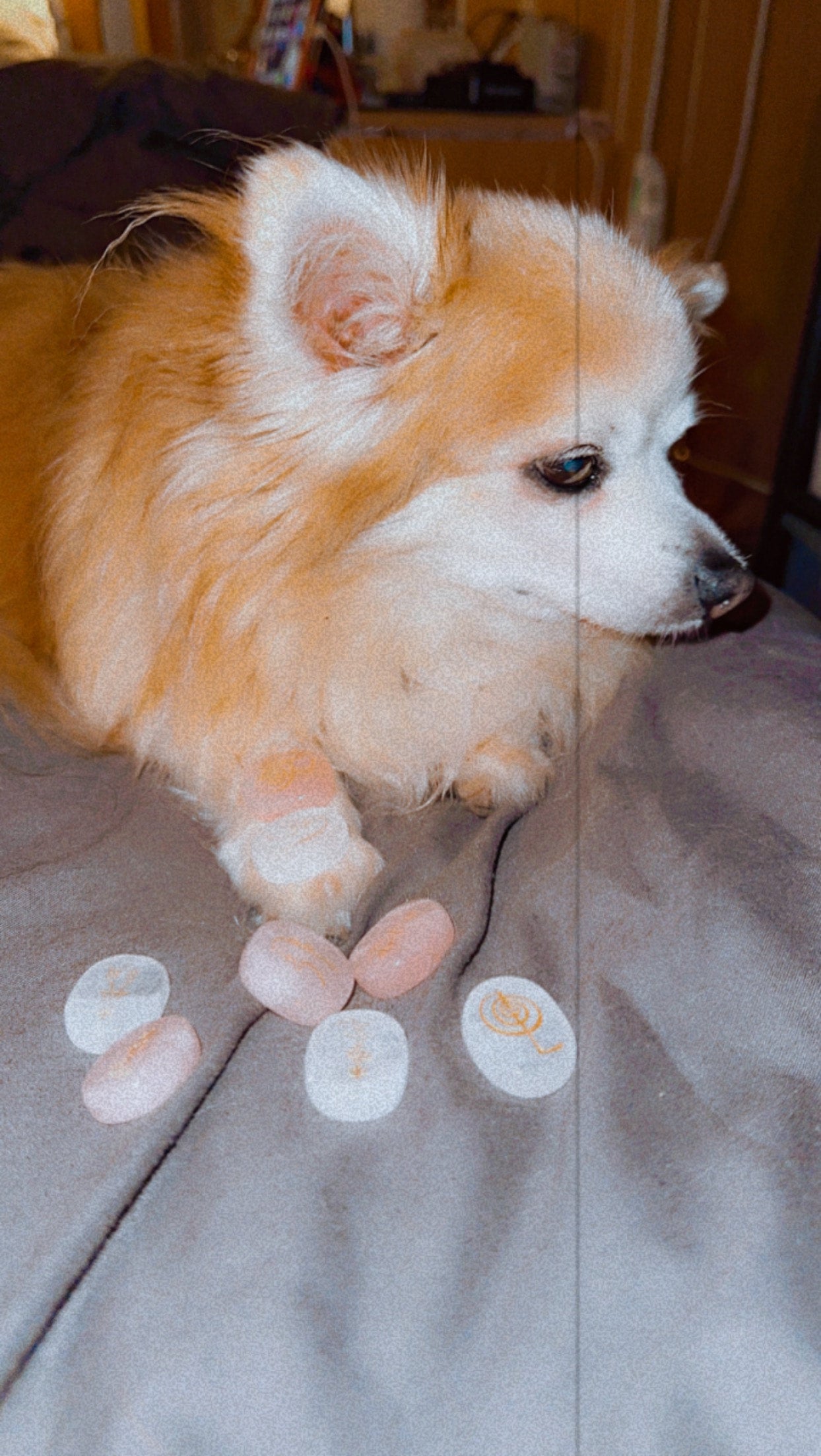 Reiki Crystal Healing