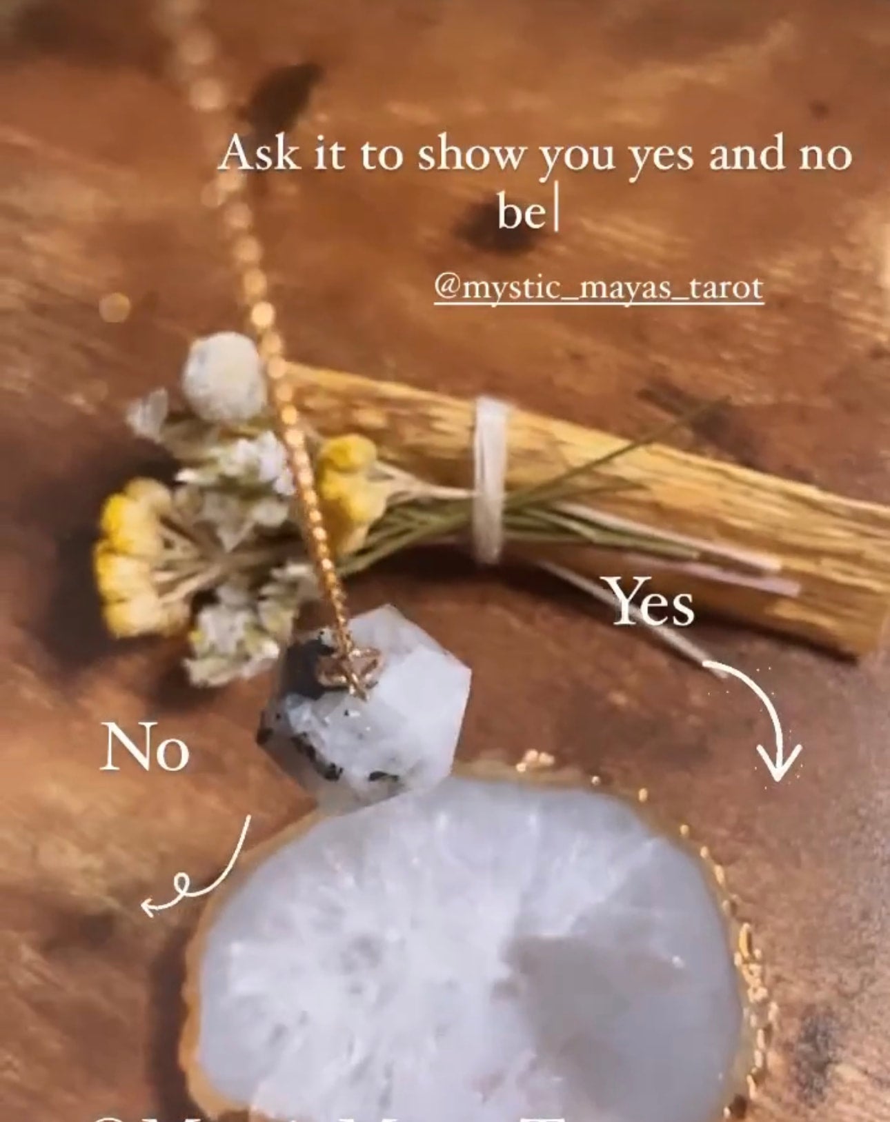 The Yes No Read