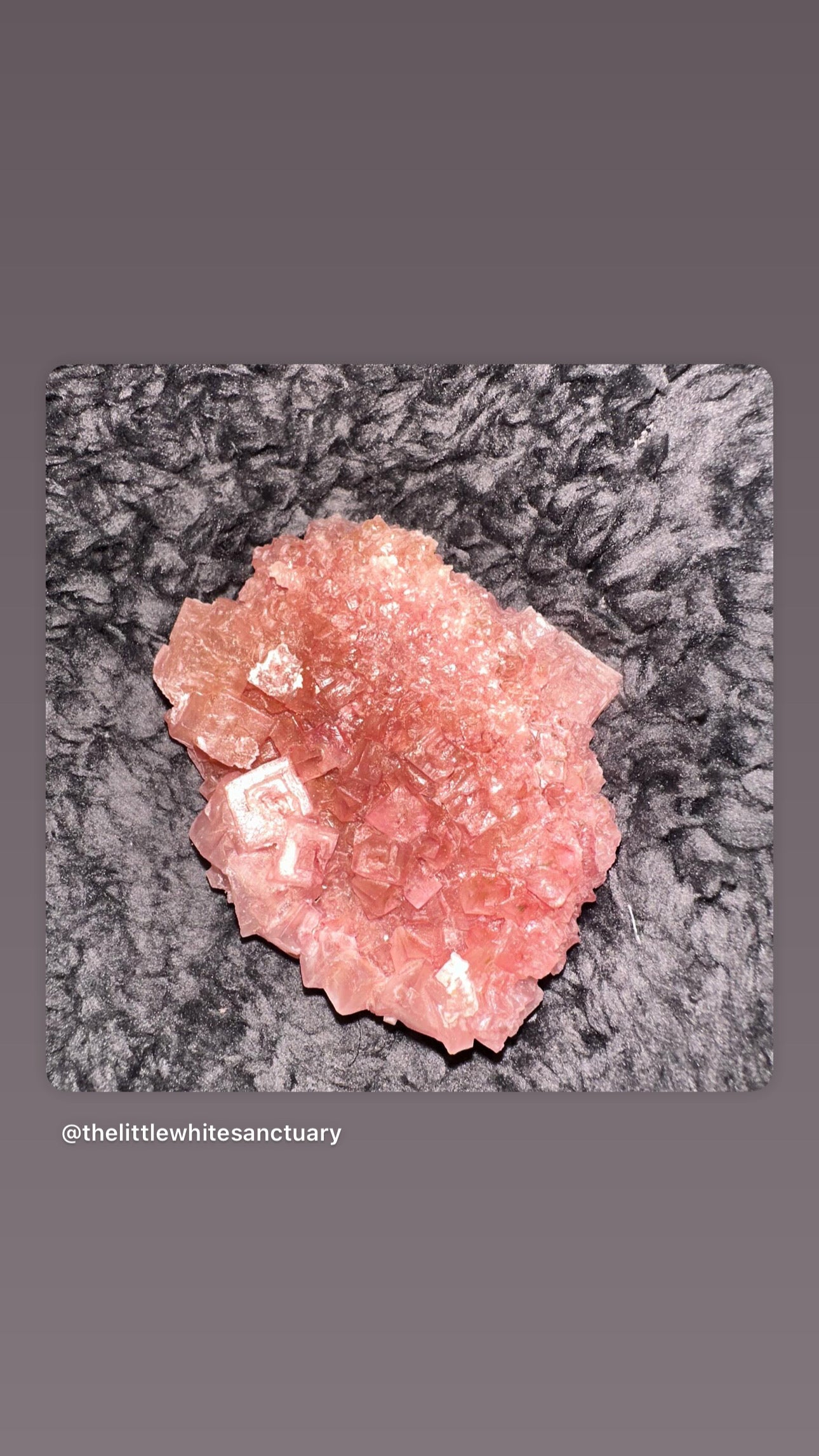 Pink Halite Raw Clusters