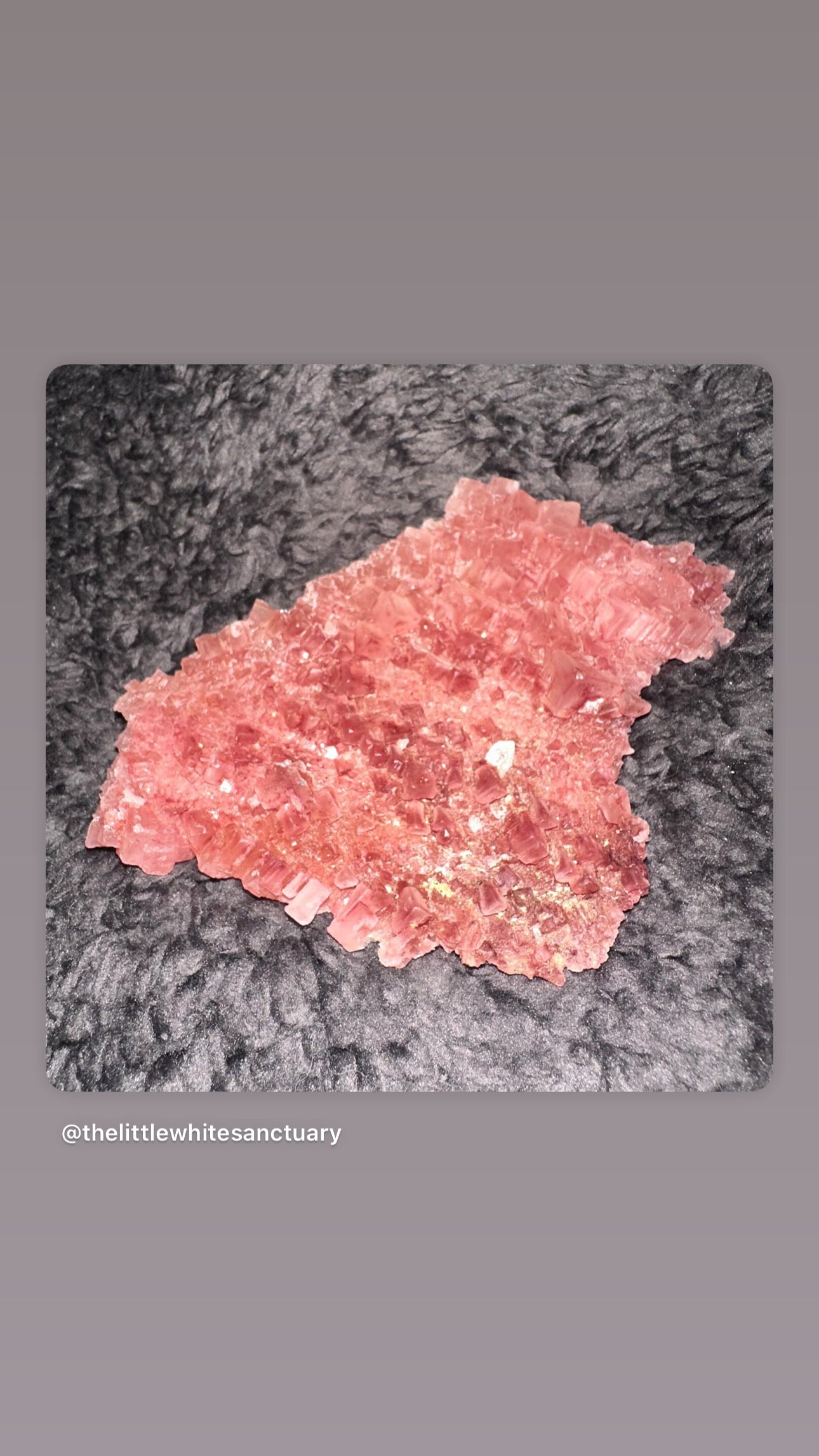 Pink Halite Raw Clusters