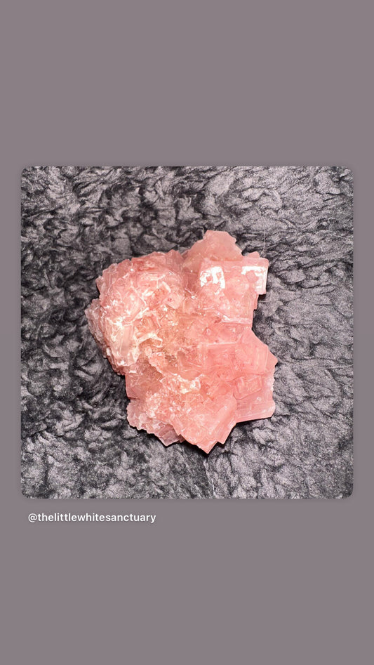 Pink Halite Raw Clusters